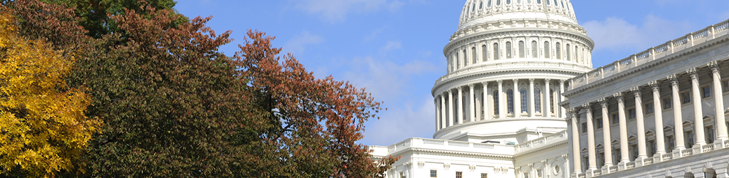 Why Major in Political Science?